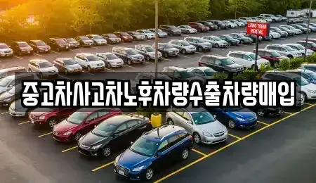 전북특별자치도 완주군 화산면 중고차 전문 중고차사고차노후차량수출차량매입