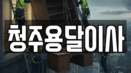 충북 청주시 서원구 장성동 용달이사 평점 16
