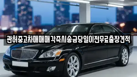 충남 당진시 정미면 중고차 전문 관허중고차매매매각즉시송금당일이전무료출장견적