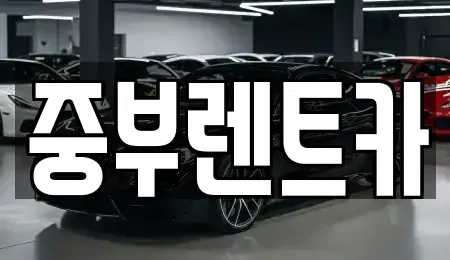 충북 음성군 금왕읍 렌트카 전문 중부렌트카