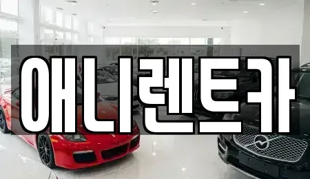 충북 음성군 금왕읍 장기렌트카 전문 애니렌트카