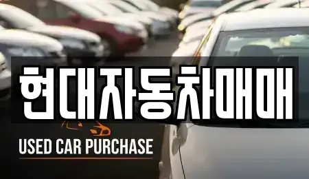 충북 음성군 금왕읍 중고차매매 전문 현대자동차매매