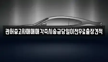 충청북도 청주시 상당구 산성동 중고차매매 전문 관허중고차매매매각즉시송금당일이전무료출장견적